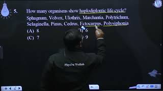 How many organisms show haplodiplontic life cycle Sphagnum Volvox Ulothrix Marchantia Polyt [upl. by Hodge900]