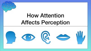 How Attention Affects Perception [upl. by Dellora]