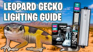 LEOPARD GECKO LIGHTING GUIDE [upl. by Eelana]