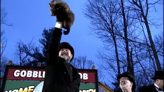 Punxsutawney Phil makes Groundhog Day prediction More winter or early spring [upl. by Marras]