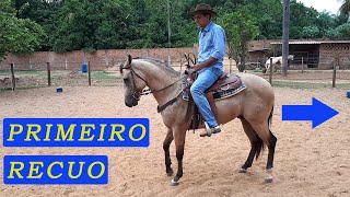 Recuando o Cavalo [upl. by Razaele]