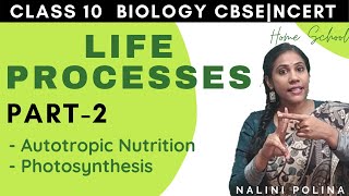 Life Processes Class 10 Biology  Autotropic Nutrition  Part2 [upl. by Niltak]