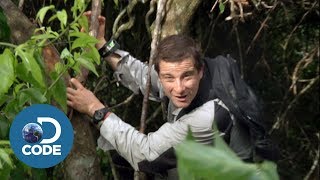 Bear Grylls in Borneo Jungle  Man vs Wild 16 [upl. by Merlin]