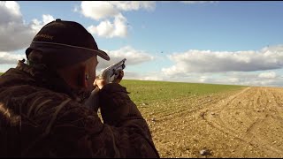 The Shooting Show – Pigeon decoying with Geoff Garrod  100 birds before lockdown [upl. by Natica]