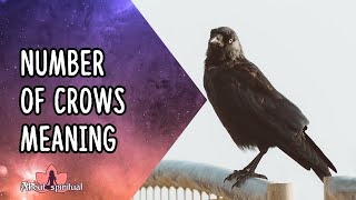 Number Of Crows Meaning [upl. by Yvad324]