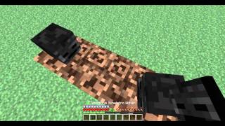 Tutorial minecraft Come creare un wither [upl. by Eelnayr]