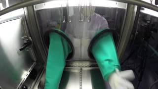 Germfree  Isolator  Glove and Sleeve Changes [upl. by Mccafferty364]