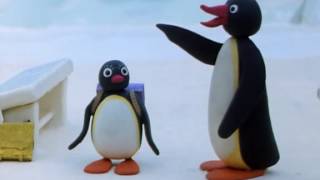 Pingu S02e02 Pingus Admirer [upl. by Ynnavoj]