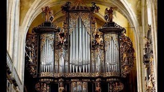 XAVER VARNUS PLAYS BACH ON SAUER ORGAN  SIBIU LUTHERAN CATHEDRAL IN ROMANIA [upl. by Nessa368]