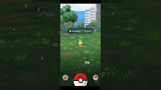 🍃Evolucionando a Grookey en Pokémon Go🍃 PokemonGo pokémon shorts [upl. by Enorahs428]