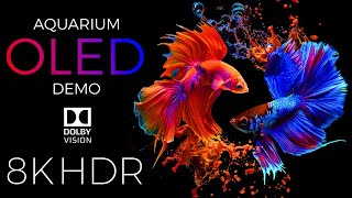 Aquarium OLED Demo HDR 8K Ultra HD Dolby Vision™ 60fps [upl. by Yeleen201]