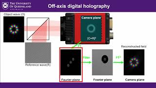 Offaxis digital holography Tutorial [upl. by Andriette778]