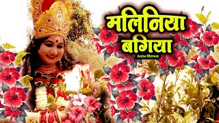 VIDEO  Maliniya bagiya  मालिनिया बगिया  देवी पचार  Anita Shivani paramparik devipachra 2025 [upl. by Ballard]