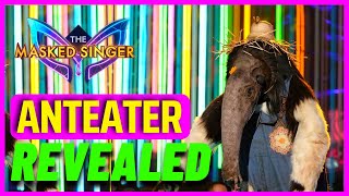 Anteater Masked Singer REVEALED as Yacht Rock Singer  Season 10 [upl. by Otreblada346]