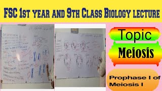 Topic Meiosis Prophase 1 of Meiosis 1 lecture delivered by Maam Samina Khuram 👍 [upl. by Aikenat201]