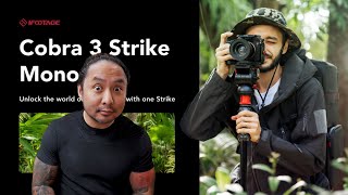 Is This the BEST Monopod REACTING to the iFootage Cobra 3 Strike [upl. by Nissie]