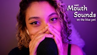 100 TINGLES Wet Mouth Sounds on the Blue Yeti  ASMR [upl. by Kai]