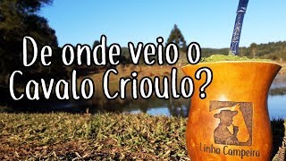 Como Surgiu o Cavalo Crioulo  Linha Campeira 28 [upl. by Ecinehs229]