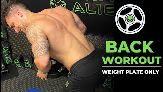 Intense 5 Minute Weight Plate Back Workout [upl. by Aihsined768]