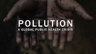 Pollution a global public health crisis [upl. by Digdirb]