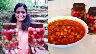 കൊതിയൂറും ലൂബിക്ക അച്ചാറും ഉപ്പിലിട്ടതും  Lavalolikka Pickle amp Salted Recipe  Cheerulli Media [upl. by Atnamas519]