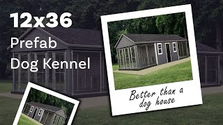 12x36 Prefab Dog Kennel  Better Than a Dog House [upl. by Ziana658]