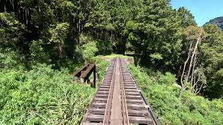 【Alishan Forest Railway】Main Line Charter Train Cab Ride （Alishan to Fenqihu｜林鐵本線專車路程景阿里山奮起湖 [upl. by Elrebma]