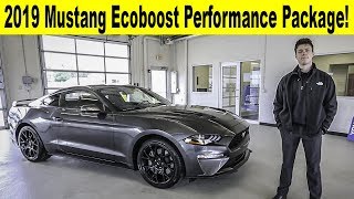 2019 Ford Mustang Ecoboost Performance Package with Exhaust Note [upl. by Anuahsed]