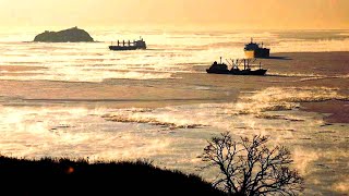 Heavy snowfalls paralyze Turkey even the Bosphorus Strait is closed [upl. by Yeoz]