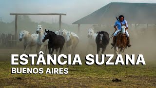 BUENOS AIRES  Day tour em uma típica fazenda Argentina [upl. by Llenet332]