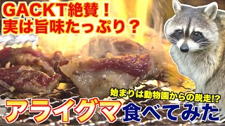 【ジビエ】焼肉屋が徹底レビュー！アライグマ食べてみた [upl. by Inge]