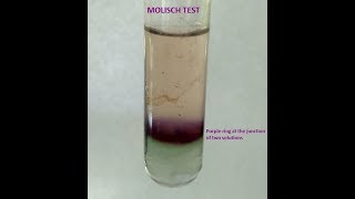 Molisch Testa group test for Carbohydrates [upl. by Westlund]