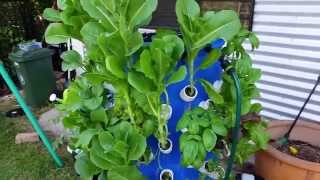 Aeroponics Tower Build  Part 2 [upl. by Aniluj56]