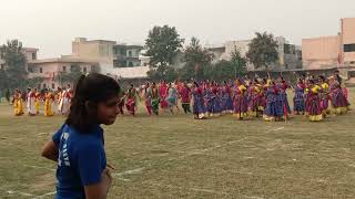 Cultural Dance Performance Unity in Diversity Hindu Vidyapeeth School sonepat dance events [upl. by Brookhouse]