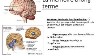 Cours 8 troubles cognitifs [upl. by Nailluj]