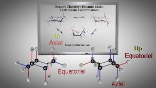 Conformational Analysis English [upl. by Alicirp]