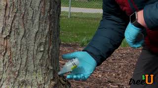 How To Apply Snipper and Other Tree Injection Capsules [upl. by Anilorac37]