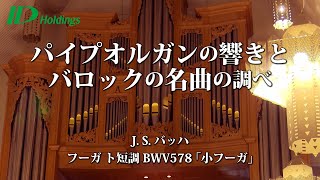 【JSバッハ】フーガ ト短調 BWV 578 “小フーガ”／トッカータとフーガ ニ短調 BWV565 [upl. by Adnalahs632]