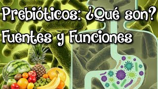 Los Prebióticos  ¿Que son  Funciones y PRINCIPALES ALIMENTOS Prebióticos [upl. by Gusty]