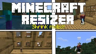 Shrinkray  Minecraft Resizer Addon  Minecraft Bedrock [upl. by Isman]