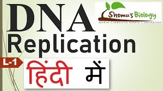 DNA replication in hindi [upl. by Fortunato855]