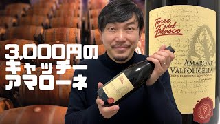 【イタリア 赤ワイン】こんなお安いアマローネは初めて！！ゆきおとワイン386「Cantina Valpantena Amarone della Valpolicella 2016」 [upl. by Palgrave]