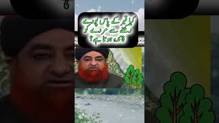 Plants near grave benefits Ahkam e shariat  Mufti Akmal  muftiakmal islamicinformation [upl. by Schrick73]