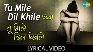 Tu Mile Dil Khile with Lyrics  तू मिले दिल खेले गाने के बोल  Kumar Sanu Alka  Criminal  Manisha [upl. by Gamal]