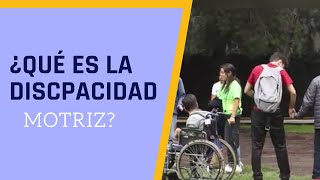 ¿Qué es la discapacidad motriz [upl. by Eerised]