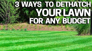 Improve your Lawn with Dethatching  3 Ways How to do it for Any Budget [upl. by Storfer977]