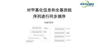 【陈巍学基因】第114期：对甲基化信息和全基因组序列进行同步测序 [upl. by Anoiuq14]