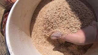 The Process Of Grinding Wheat Into Flour [upl. by Gage894]