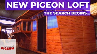 Time To Buy A NEW Pigeon Loft  Ep52 [upl. by Jolanta]