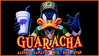 SET GUARACHA MIX 2024 🔥 ALETEO ZAPATEO Party Mix Non Stop 🔥 guaracha partymix remix aleteo mix [upl. by Neerak977]